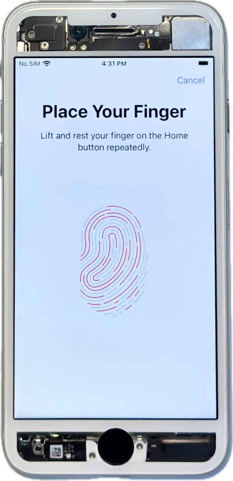 Thumb 5